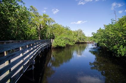 Colohatchee Park View of Water from Boardwalk