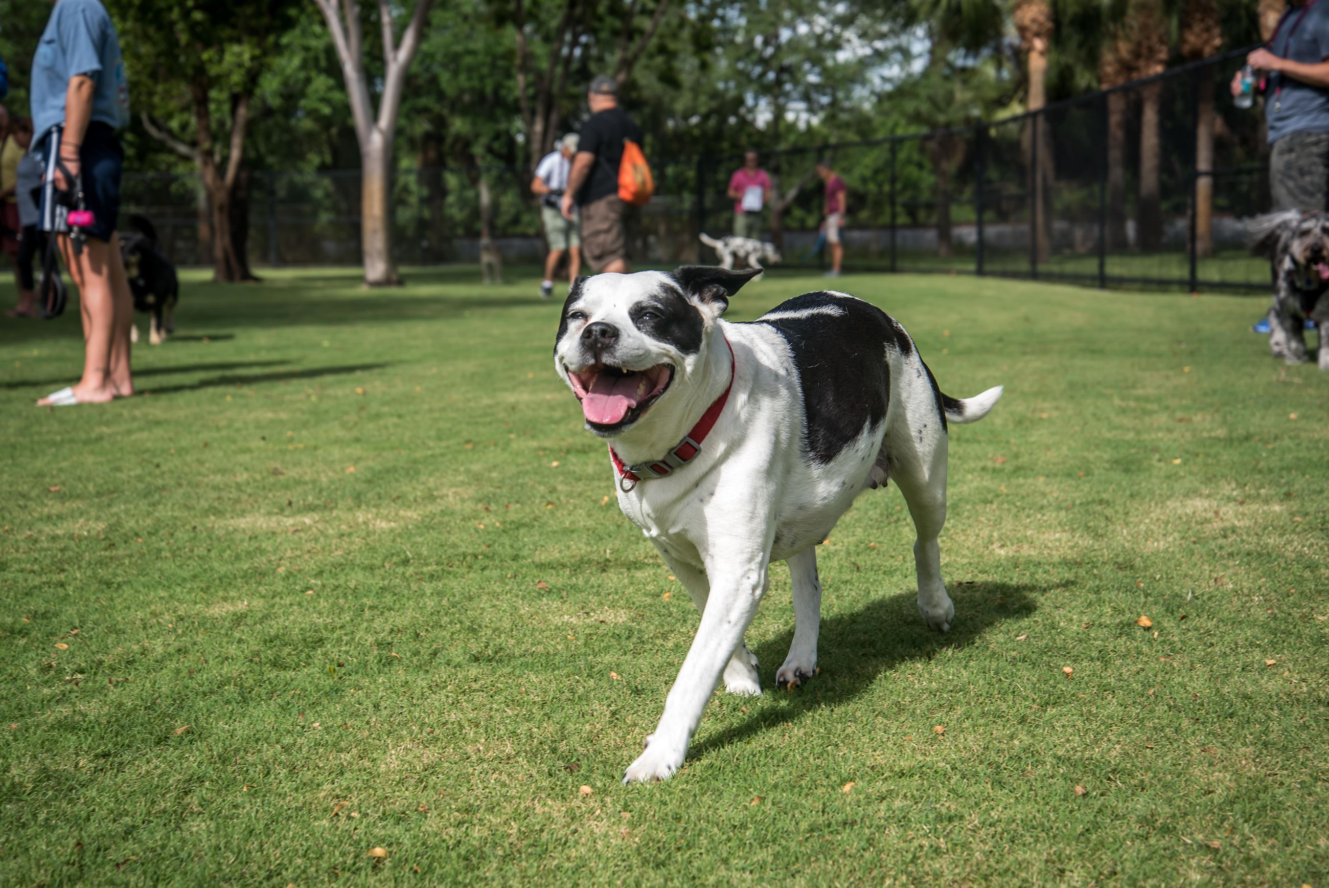 Colohatchee Park Grand Opening Pic 3
